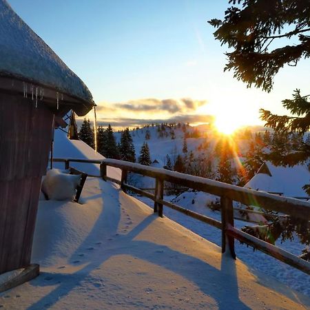 Chalet Resa - Velika Planina Stahovica 외부 사진