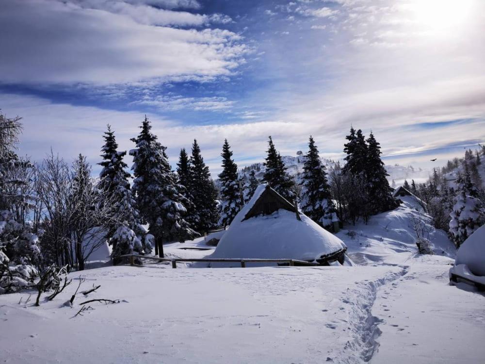 Chalet Resa - Velika Planina Stahovica 외부 사진