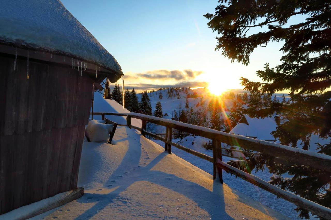 Chalet Resa - Velika Planina Stahovica 외부 사진