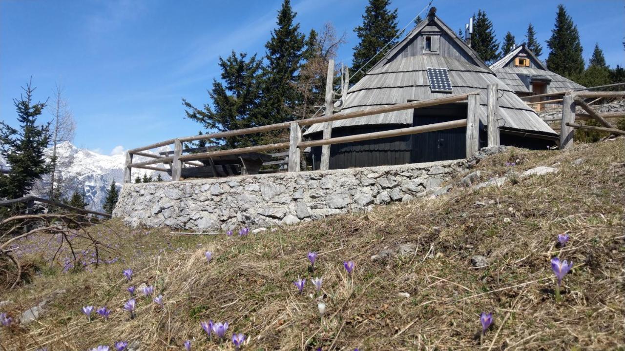 Chalet Resa - Velika Planina Stahovica 외부 사진