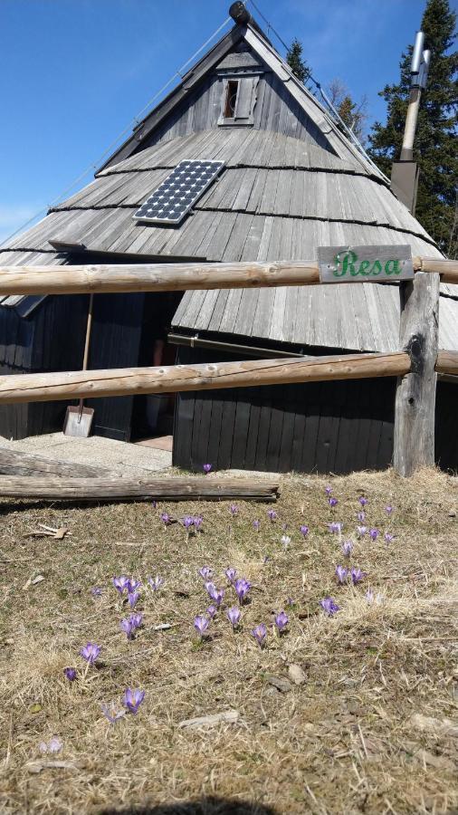 Chalet Resa - Velika Planina Stahovica 외부 사진