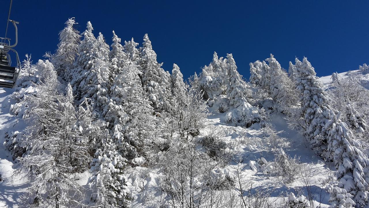 Chalet Resa - Velika Planina Stahovica 외부 사진